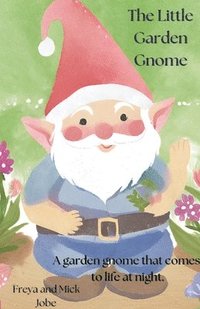 bokomslag Little Garden Gnome