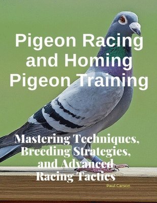 bokomslag Pigeon Racing and Homing Pigeon Training