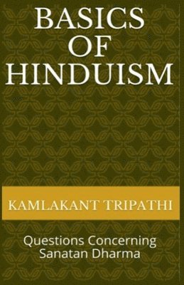 bokomslag Basics of Hinduism