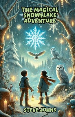Steve Johns - Magical Snowflake Adventure, Häftad
