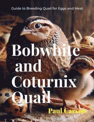 bokomslag Bobwhite and Coturnix Quail: Guide to Breeding Quail for Eggs and Meat