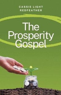 bokomslag The Prosperity Gospel