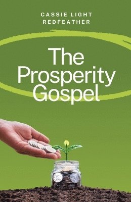 bokomslag The Prosperity Gospel