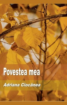 Povestea mea 1