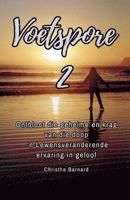 bokomslag Voetspore 2