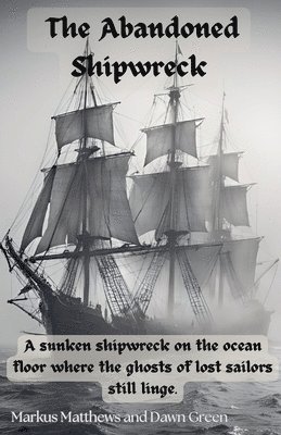 The Abandoned Shipwreak 1