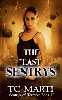 The Last Sentrys 1