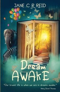 bokomslag Dream Awake