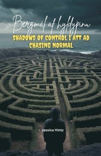 bokomslag Bergml af hyldpinu - Shadows of Control  tt a Chasing Normal