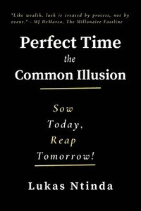 bokomslag Perfect Time, The Common Illusion