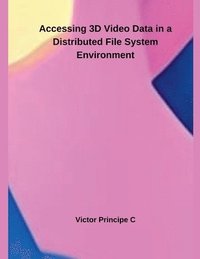 bokomslag Accessing 3D Video Data in a Distributed File System Environment