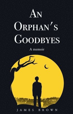 bokomslag An Orphan's Goodbyes