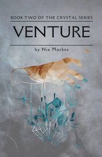 bokomslag Venture