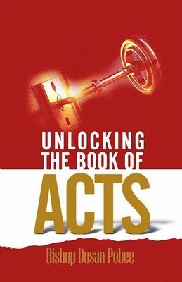 bokomslag Unlocking the Book of Acts