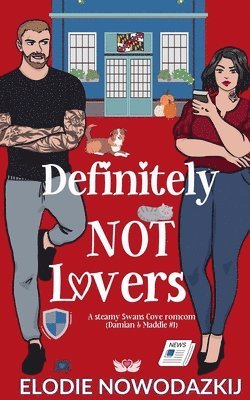 bokomslag Definitely Not Lovers (Damian & Maddie #1)