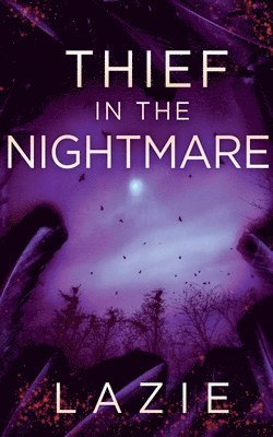 Thief in the Nightmare 1