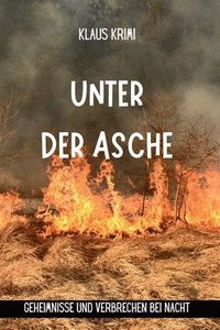 bokomslag Unter der Asche