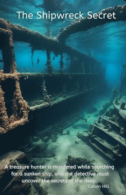 The Shipwreck Secret 1