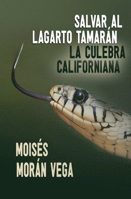 bokomslag Salvar al lagarto Tamarn. La culebra californiana