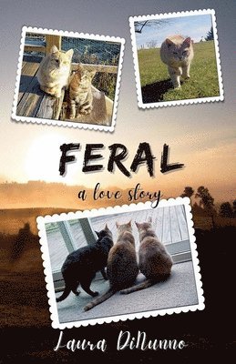 bokomslag Feral