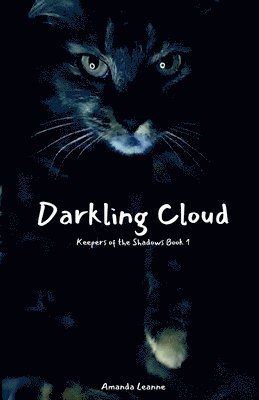 bokomslag Darkling Cloud