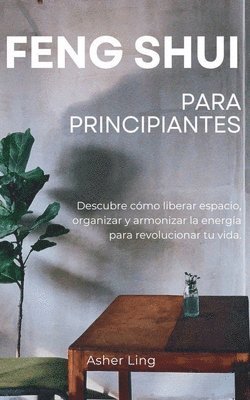 bokomslag Feng Shui Para Principiantes