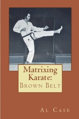 bokomslag Matrixing Karate Volume Three Brown Belt