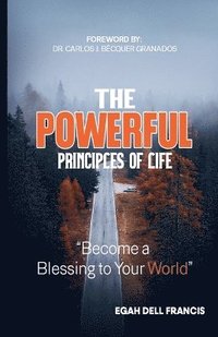 bokomslag Powerful Principles of Life