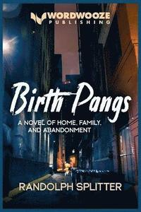 bokomslag Birth Pangs