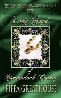 bokomslag Lady Angel of Shenandoah County