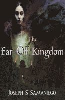bokomslag Far-Off Kingdom