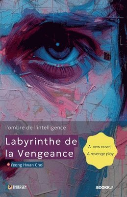 bokomslag Labyrinthe de la vengeance (l'ombre de l'intelligence)