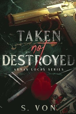 Taken not Destroyed 1