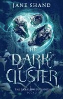 The Dark Cluster 1