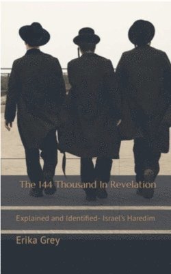 Erika Grey - 144 Thousand in Revelation, Häftad