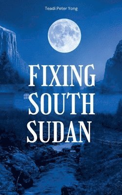 bokomslag Fixing South Sudan