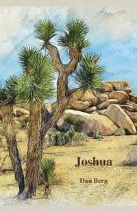 bokomslag Joshua