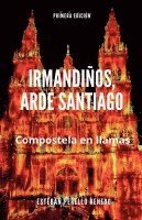 bokomslag Irmandios, arde Santiago