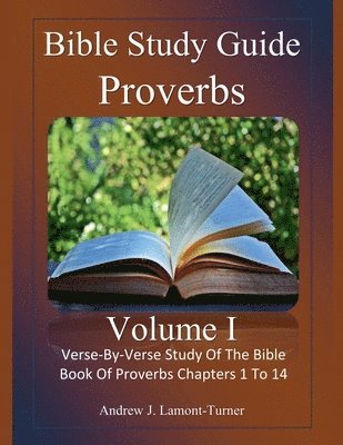 bokomslag Bible Study Guide