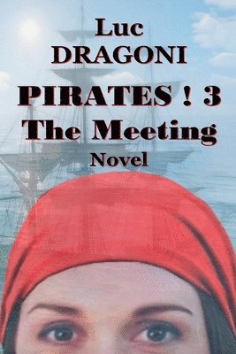 bokomslag Pirates 3.The Meeting
