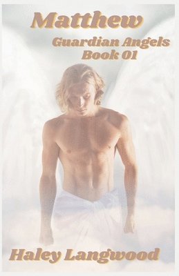 bokomslag Guardian Angels Book One Matthew