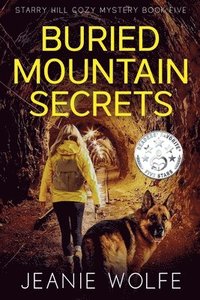 bokomslag Buried Mountain Secrets