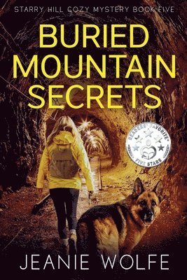 bokomslag Buried Mountain Secrets