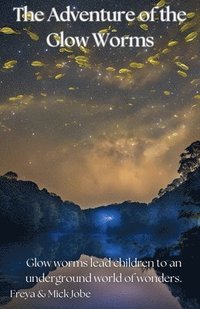 bokomslag Adventures of thee Glow Worms