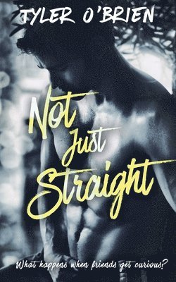 Tyler O'Brien - Not Just Straight, Häftad