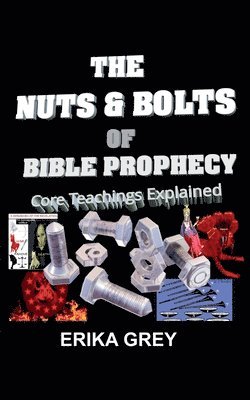 bokomslag The Nuts and Bolts of Bible Prophecy