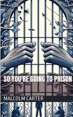 bokomslag So You're Going to Prison