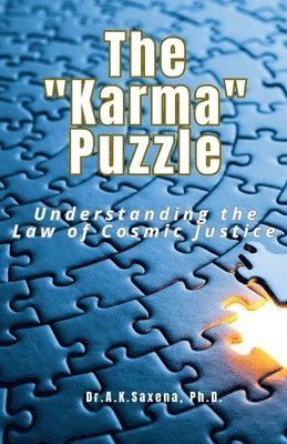 bokomslag The &quot;Karma&quot; Puzzle