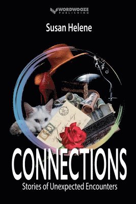 bokomslag Connections: Stories of Unexpected Encounters