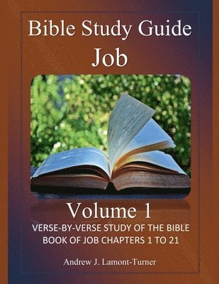 bokomslag Bible Study Guide